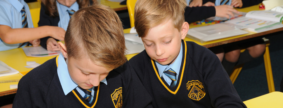 Pupils Reading